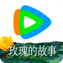 安然S